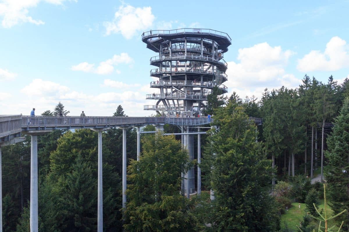 Einer der schönsten Baumwipfelpfade Deutschlands: Der Pfad im Bayerischen Wald