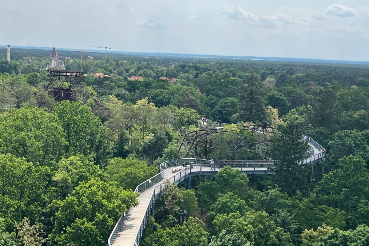 Blick von oben auf den Baumwipfelpfad in Beelitz