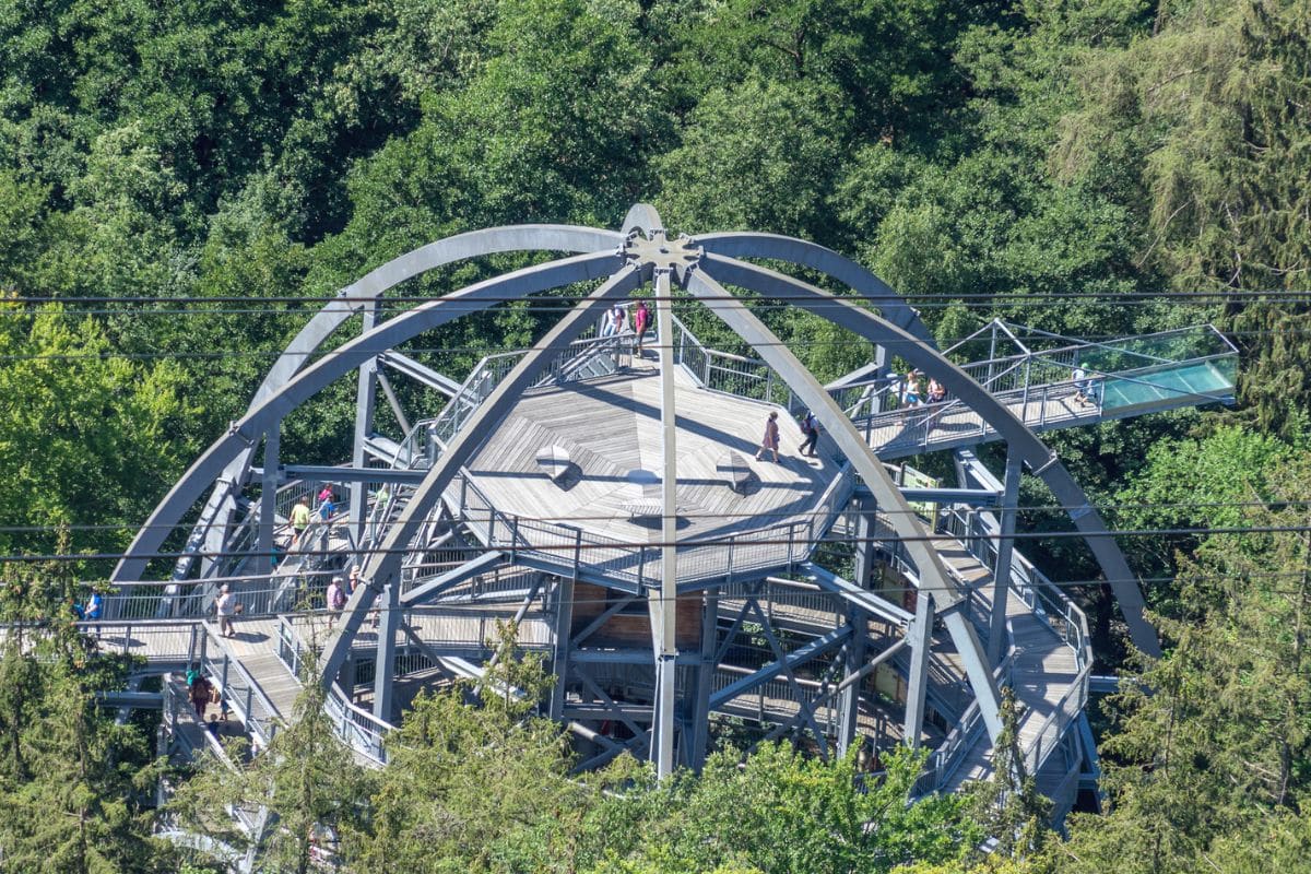 Blick von oben auf den Eingangsbereich des Baumwipfelpfades im Harz