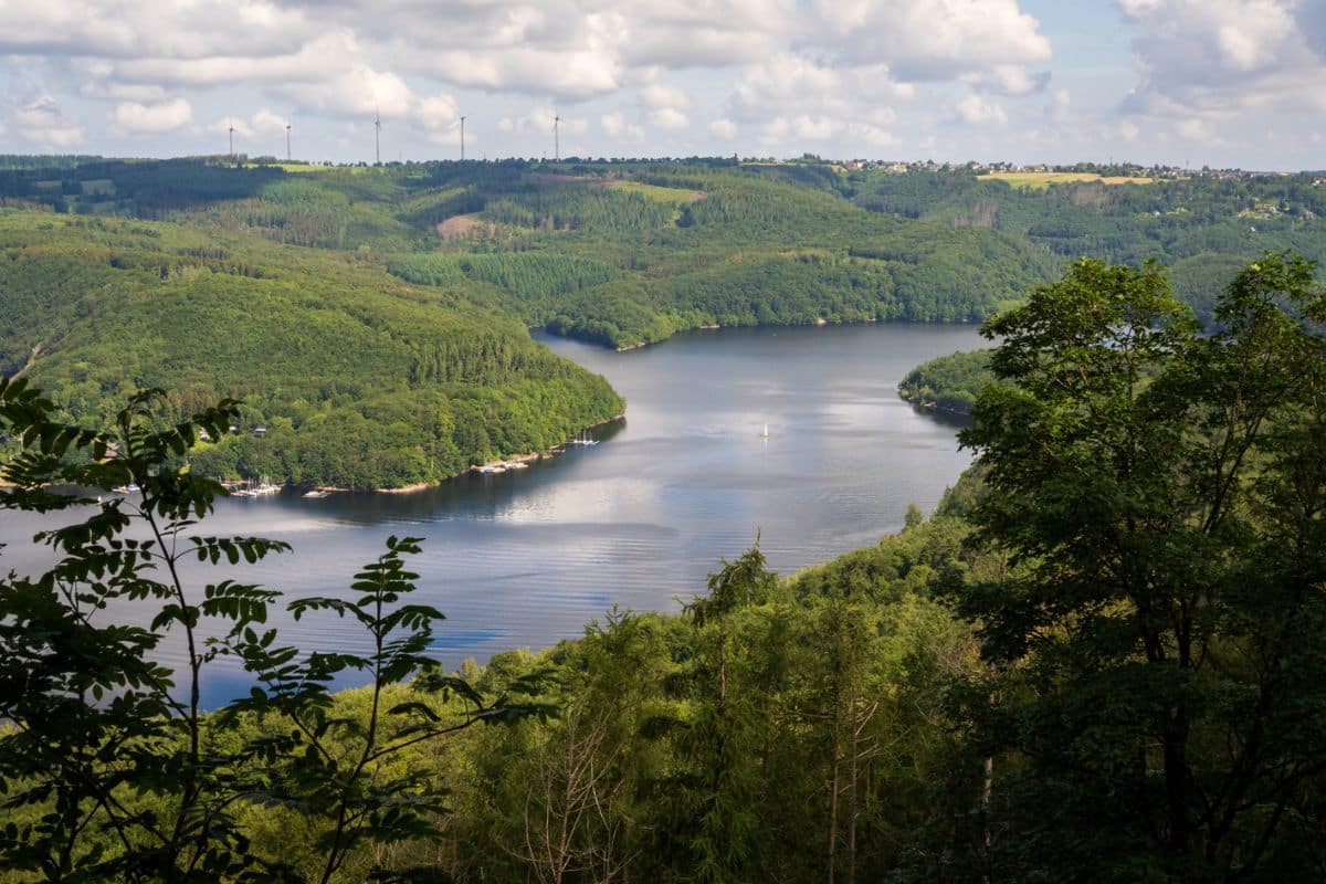 Der Nationalpark ist das Herzstück der Eifel