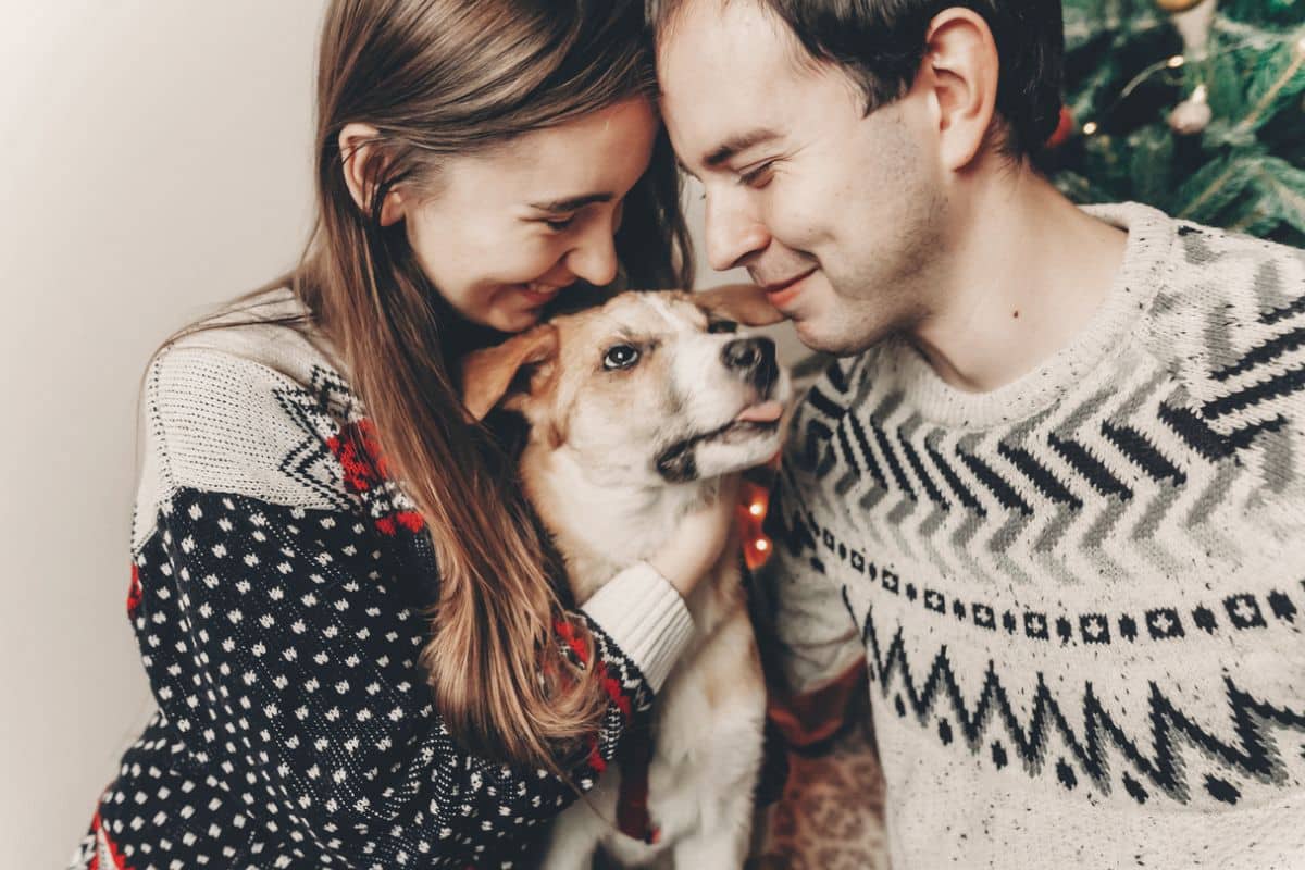 Silvester Ziele mit Hund und Kindern