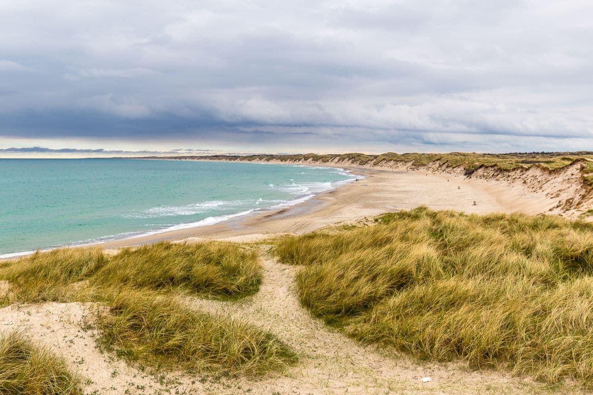 Blick auf den Strand im Nationalpark Dänemark Thy