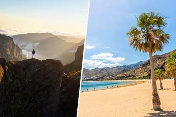 Madeira oder Teneriffa?
