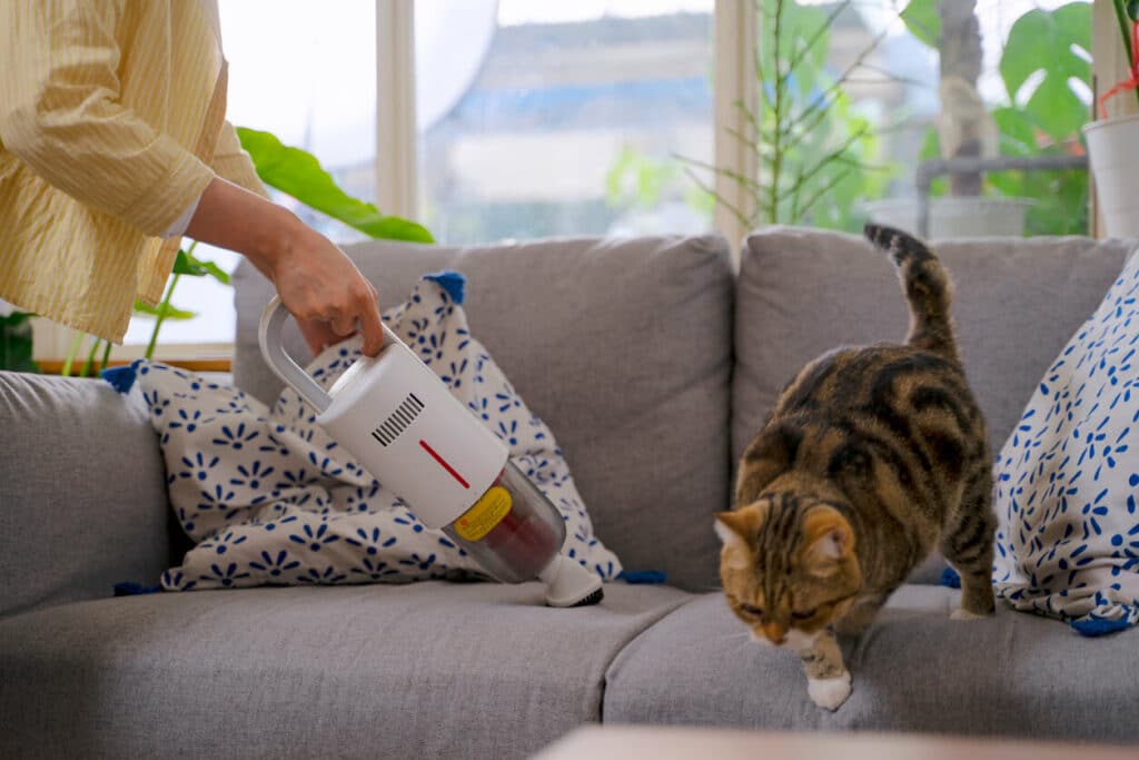 haustierfreundliche Ferienunterkunft Tierhaarallergie