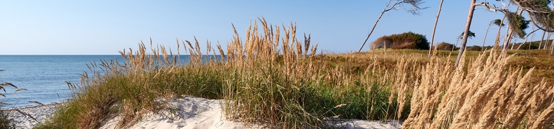 Ferienhäuser &amp; Ferienwohnungen in Prerow mieten