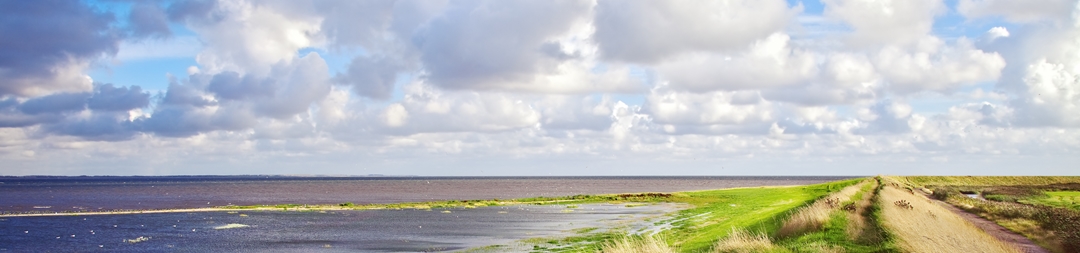 Ferienhäuser &amp; Ferienwohnungen in Rømø mieten