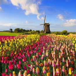Niederlande
