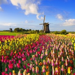 Giethoorn