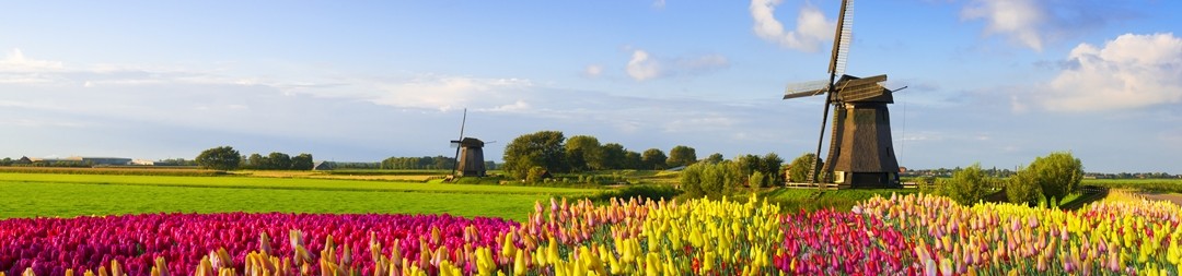 Ferienhäuser &amp; Ferienwohnungen in Bant mieten