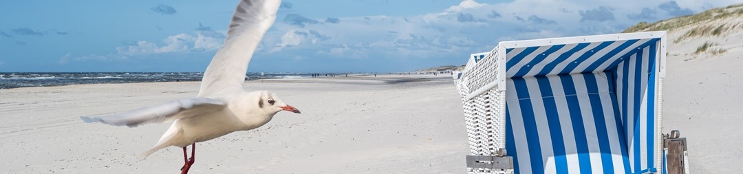 Ferienhäuser &amp; Ferienwohnungen in Norddeich mieten