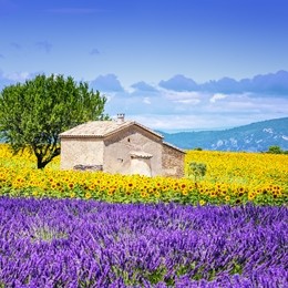 Südfrankreich