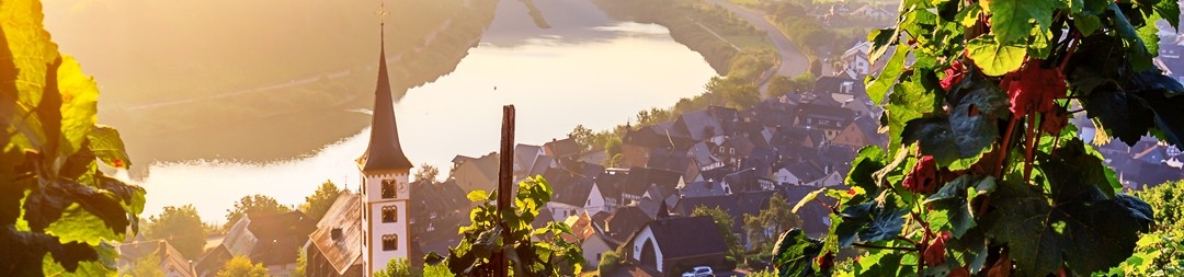 Ferienhäuser &amp; Ferienwohnungen in Stipshausen mieten