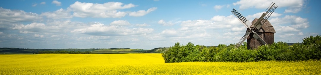 Ferienhäuser &amp; Ferienwohnungen in Jena mieten