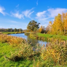 Lübbenau