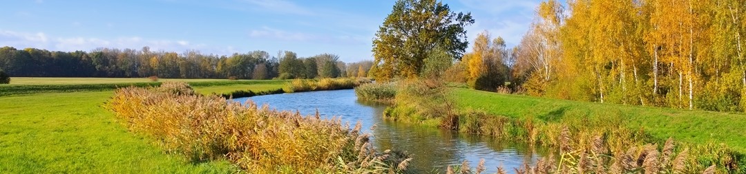 Ferienhäuser &amp; Ferienwohnungen in Burg mieten