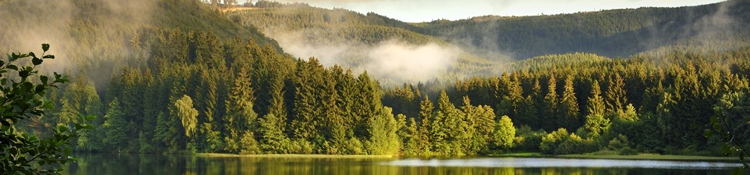 Ferienhäuser &amp; Ferienwohnungen im Harz (Niedersachsen) mieten