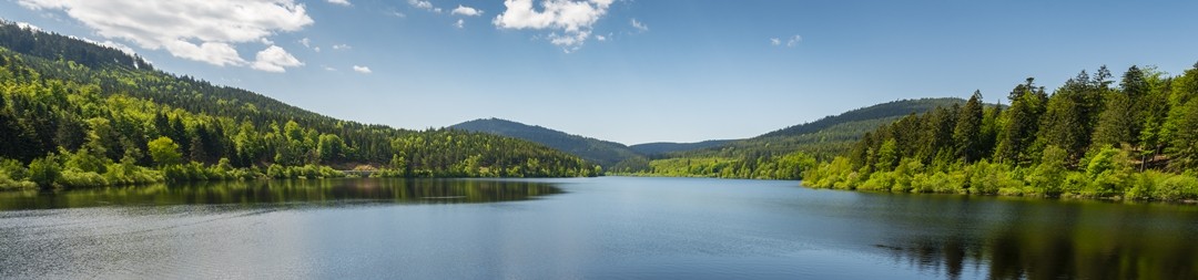 Ferienhäuser &amp; Ferienwohnungen in Vogtsburg im Kaiserstuhl mieten