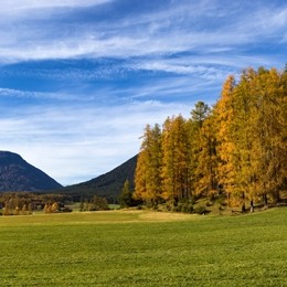 Willingen