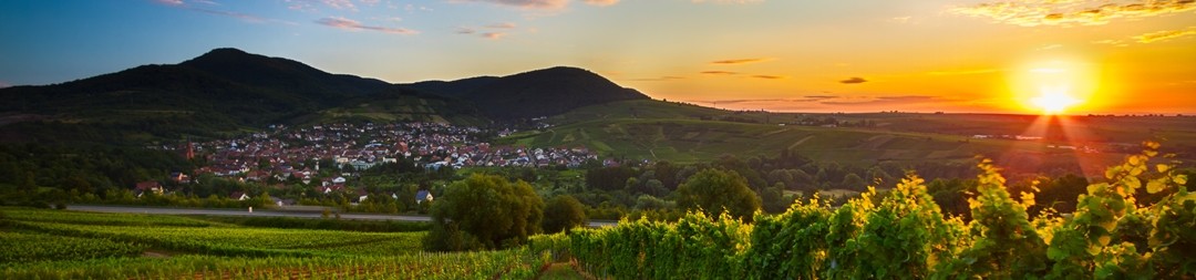 Ferienhäuser &amp; Ferienwohnungen in Gossersweiler-Stein mieten