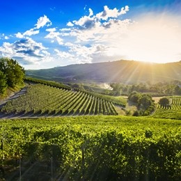 Piemonte