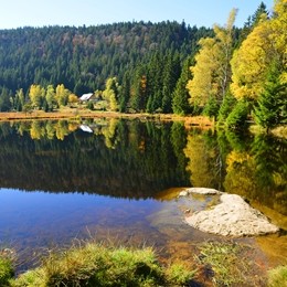 Bayerischer Wald