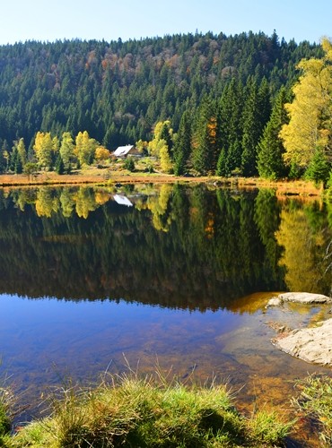 Ferienhäuser &amp; Ferienwohnungen in Sankt Englmar & Umland mieten