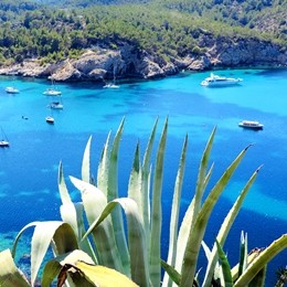 Ibiza