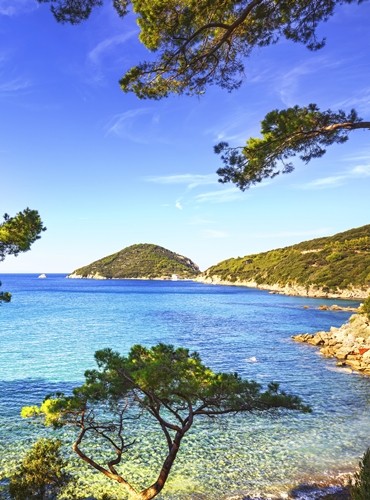 Case vacanza e appartamenti Elba in affitto
