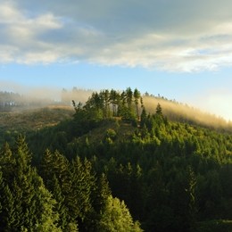 Braunlage