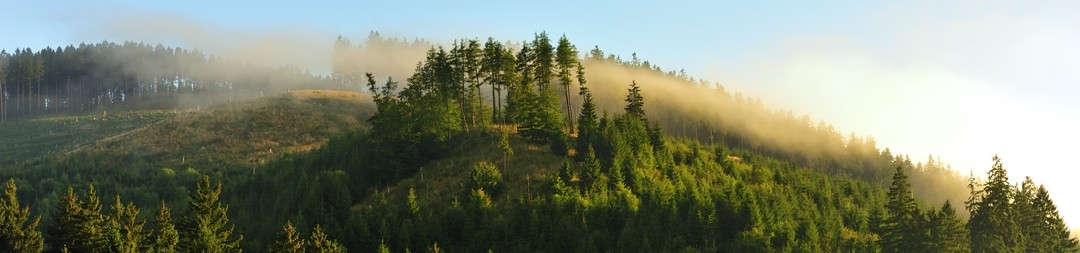 Ferienhäuser &amp; Ferienwohnungen in Clausthal-Zellerfeld mieten