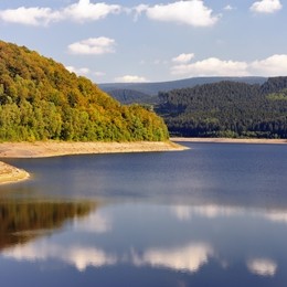 Thale