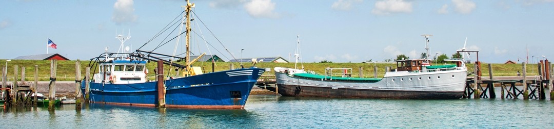Ferienhäuser &amp; Ferienwohnungen auf Büsum mieten