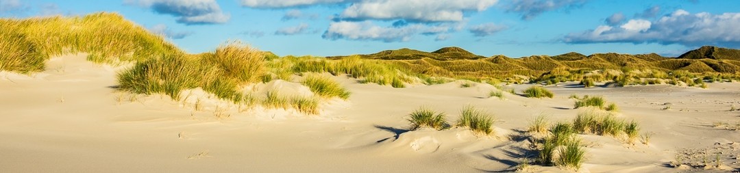 Ferienhäuser &amp; Ferienwohnungen in Dangast mieten