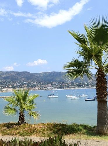 Provence - Alpes - Côte d'Azur