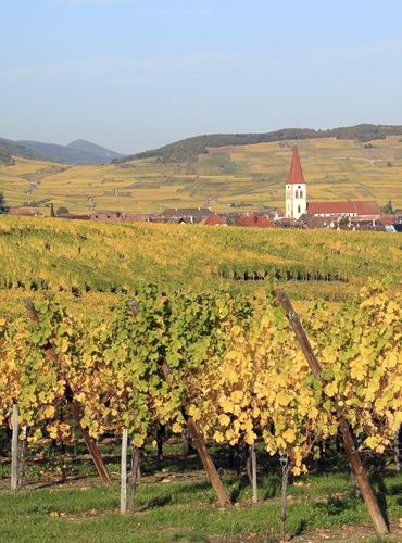Elsass