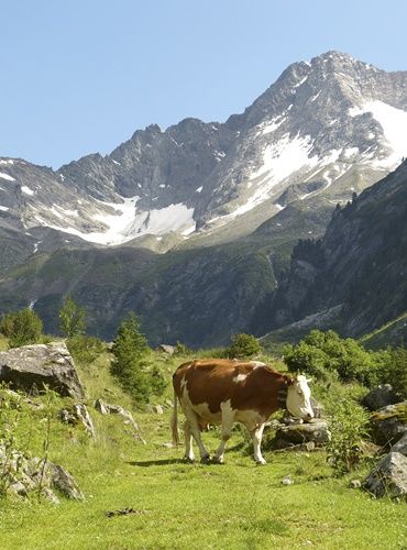 Vorarlberg