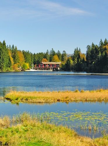 Bayerischer Wald