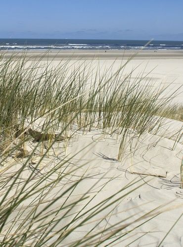 Nordsee