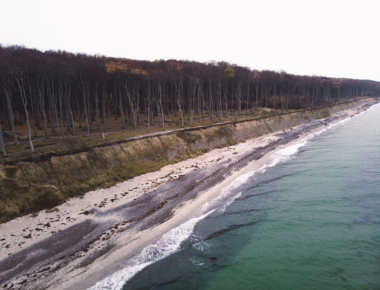 Mit Taschenlampen in den Gespensterwald