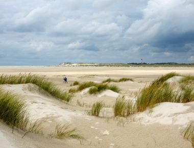 Riesige Sandkiste